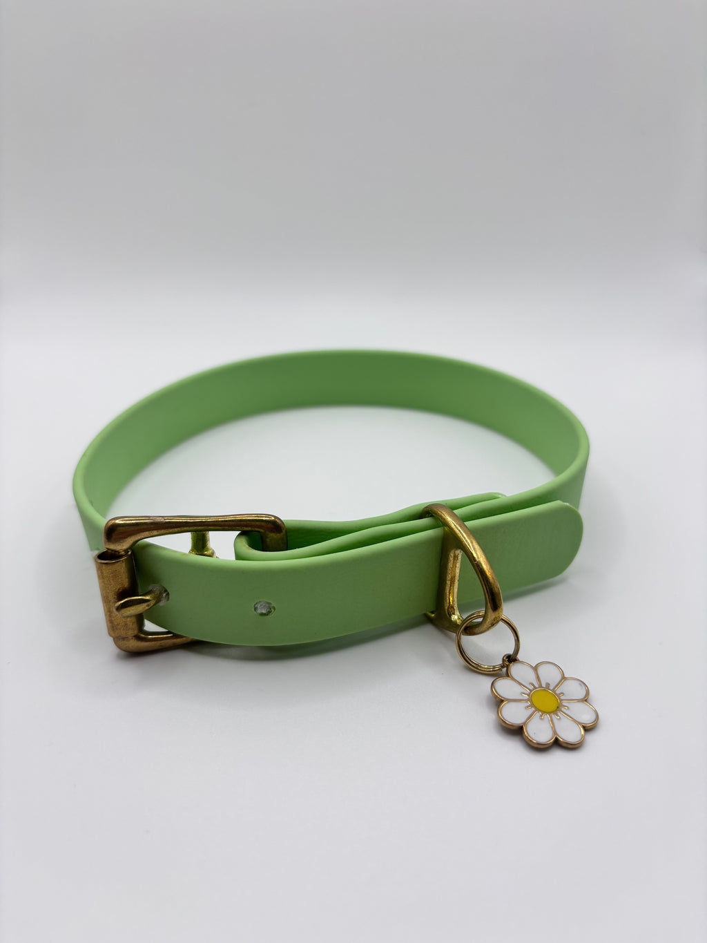Collier Chien BIOTHANE® à Boucle - Green Tea