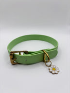 Collier Chien BIOTHANE® à Boucle - Green Tea