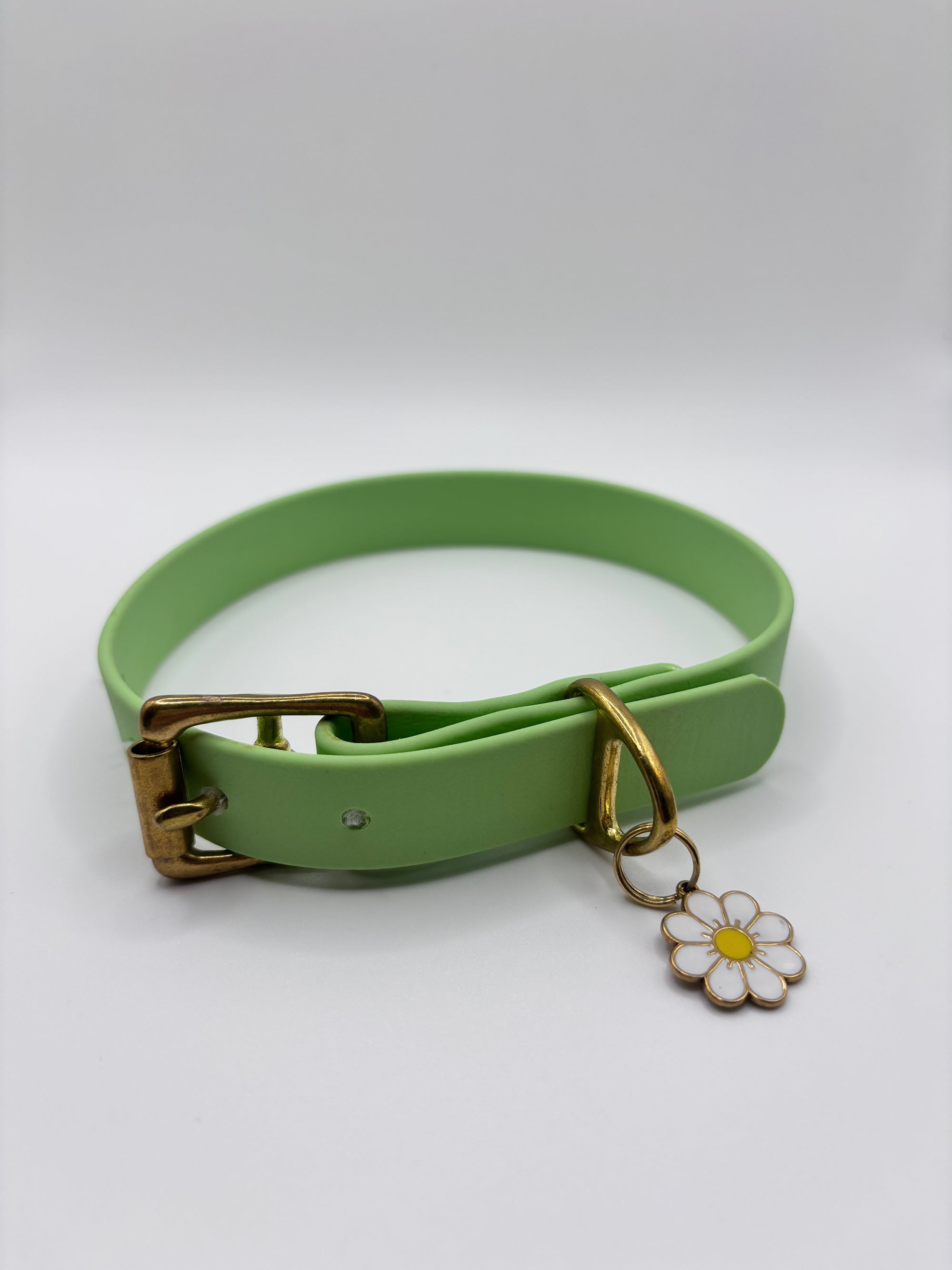 Collier Chien BIOTHANE® à Boucle - Green Tea