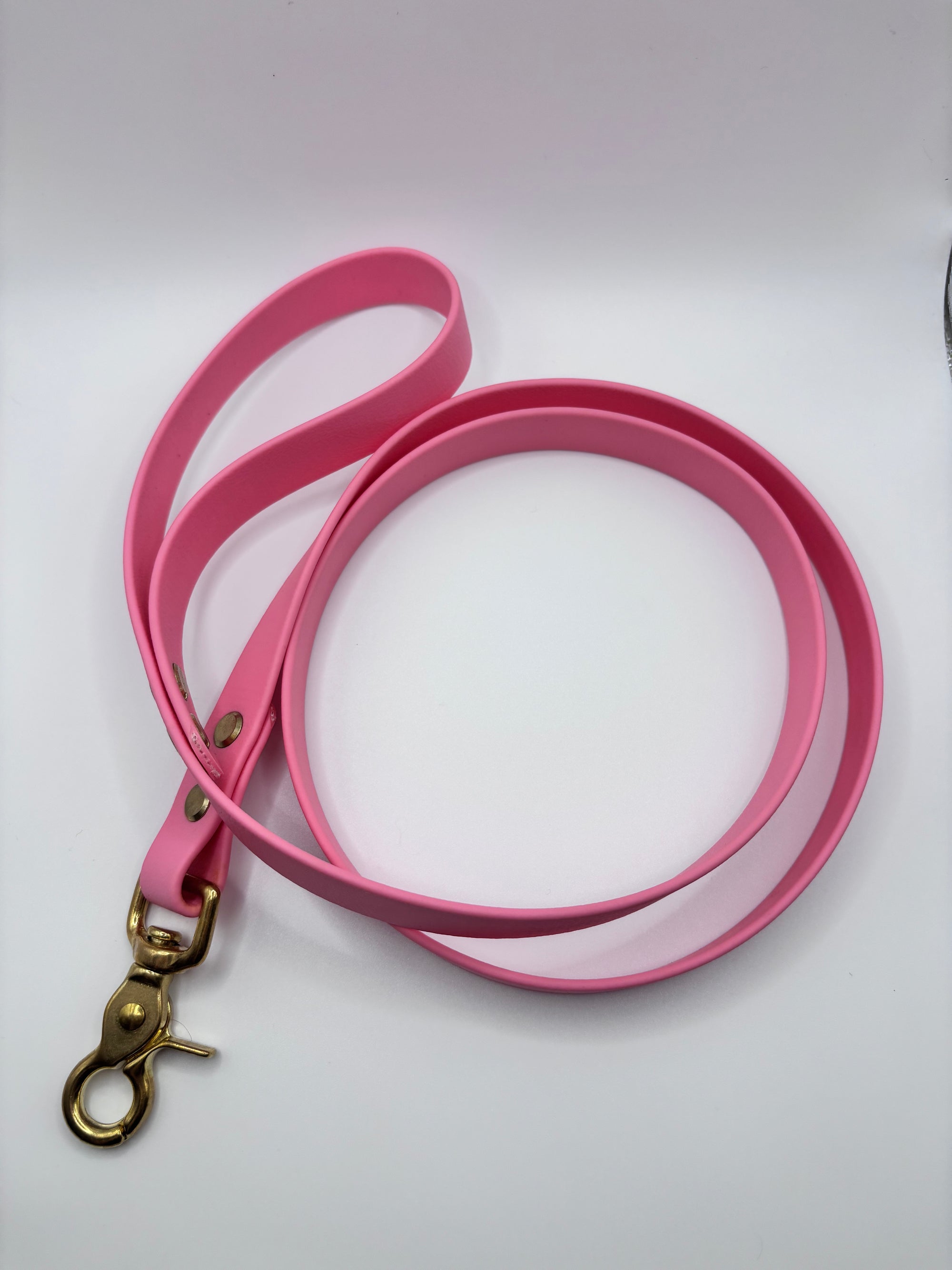 Laisse Chien BIOTHANE® - Bubblepink