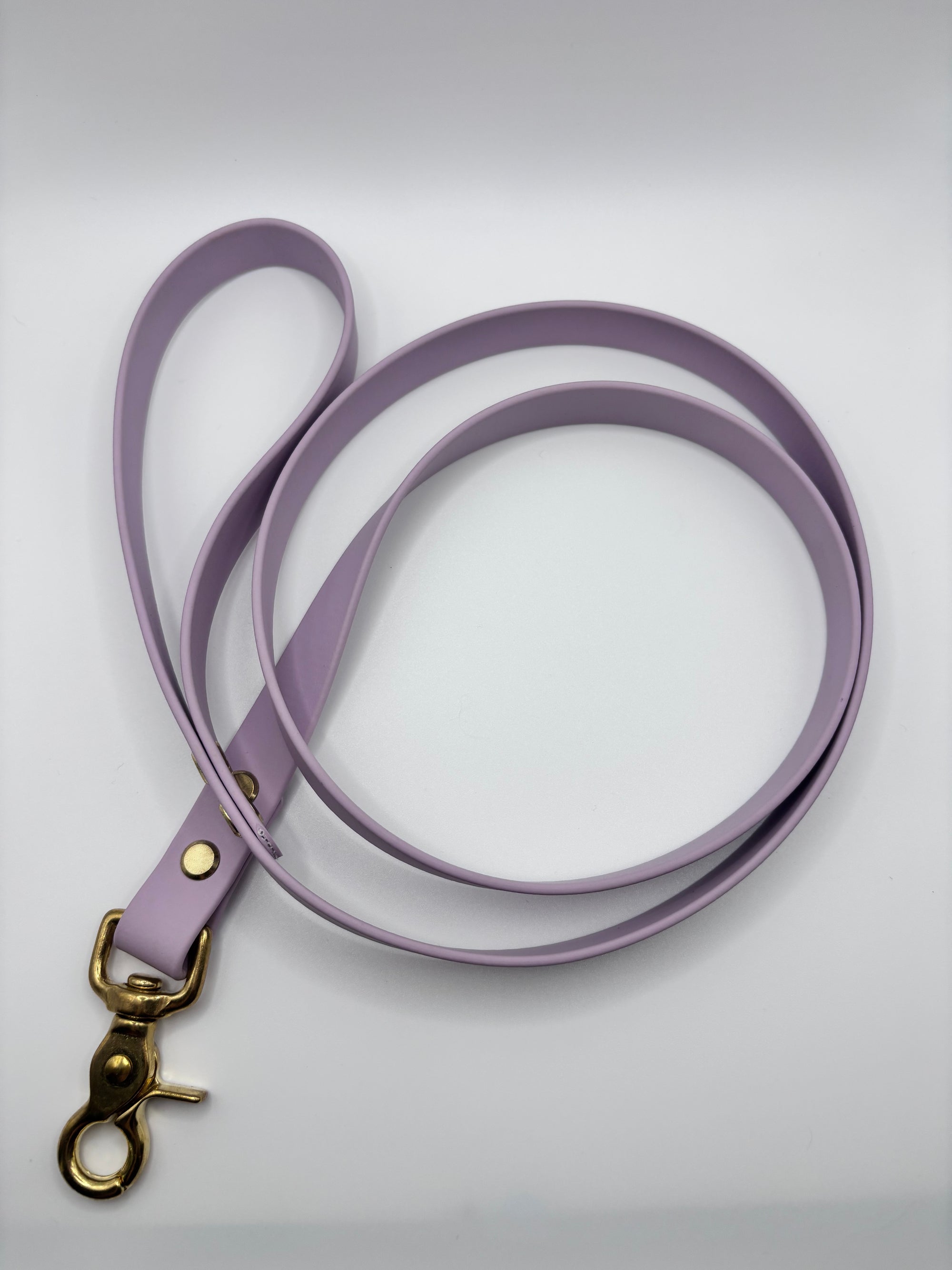 Laisse Chien BIOTHANE® - Lila