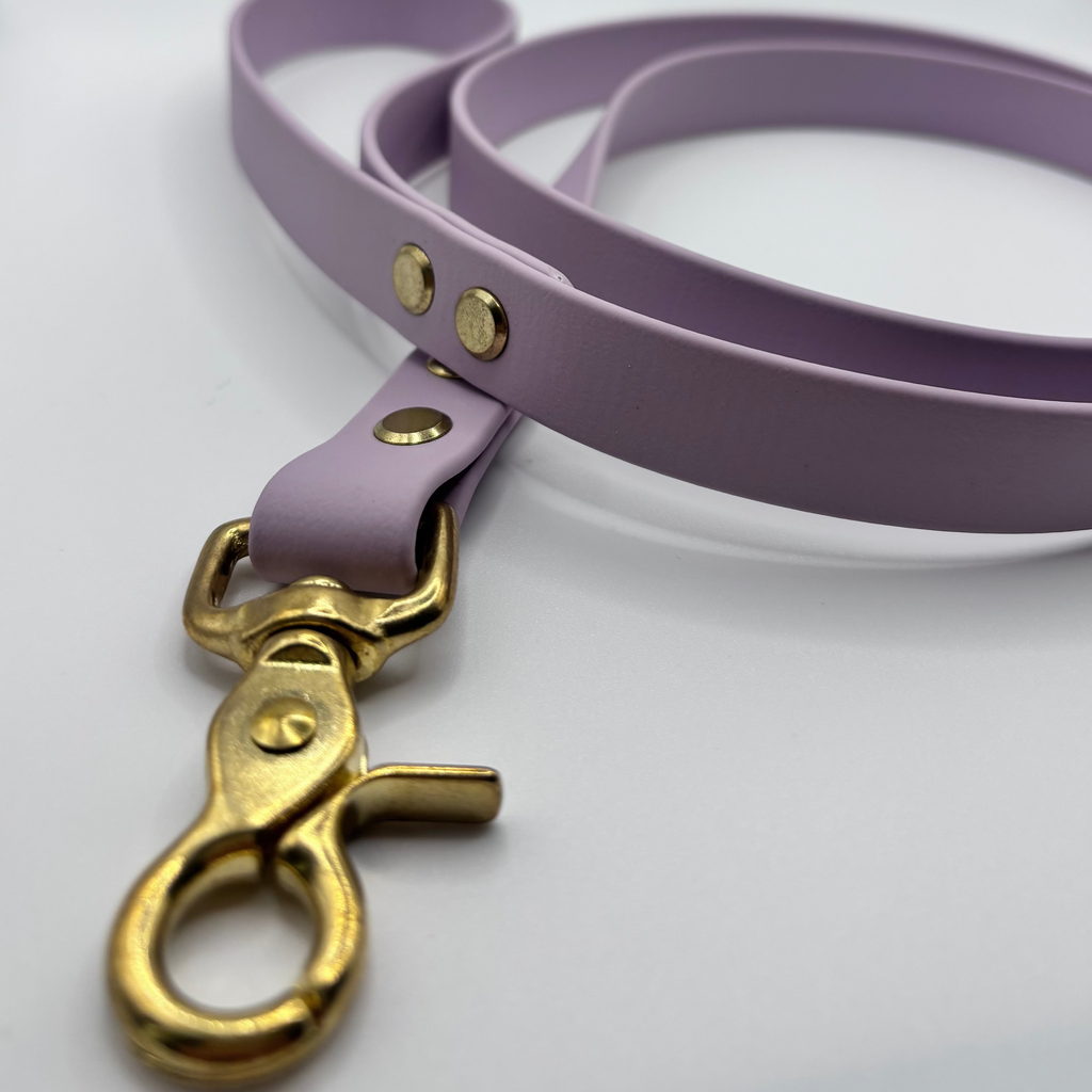 Laisse simple pour chien BIOTHANE® - Lila