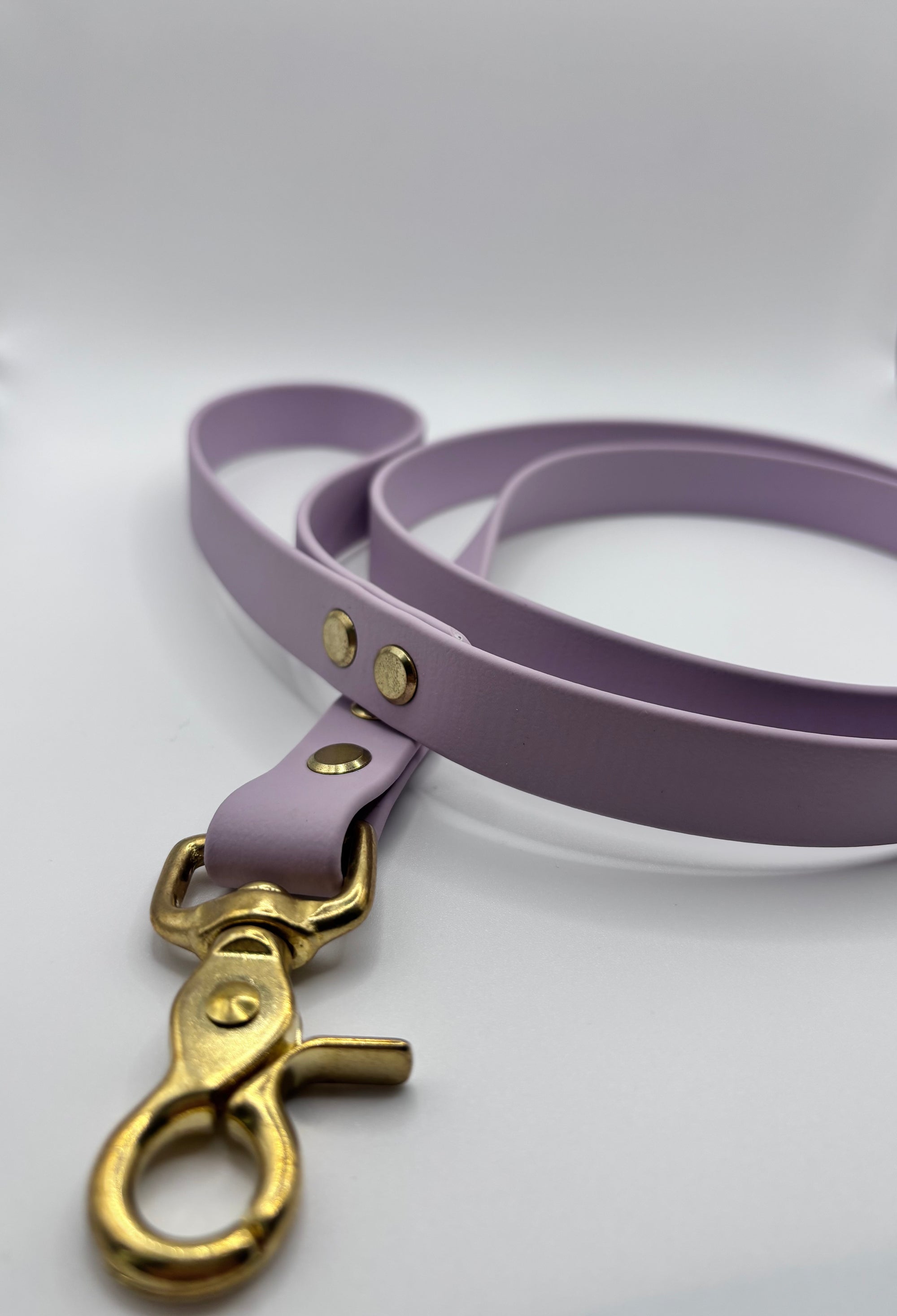 Laisse Chien BIOTHANE® - Lila