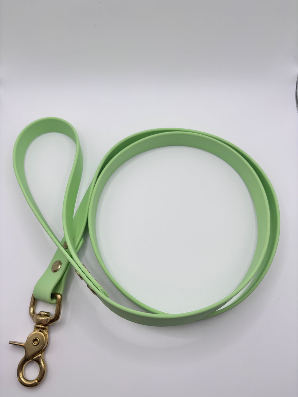 Laisse Chien BIOTHANE® - Green Tea