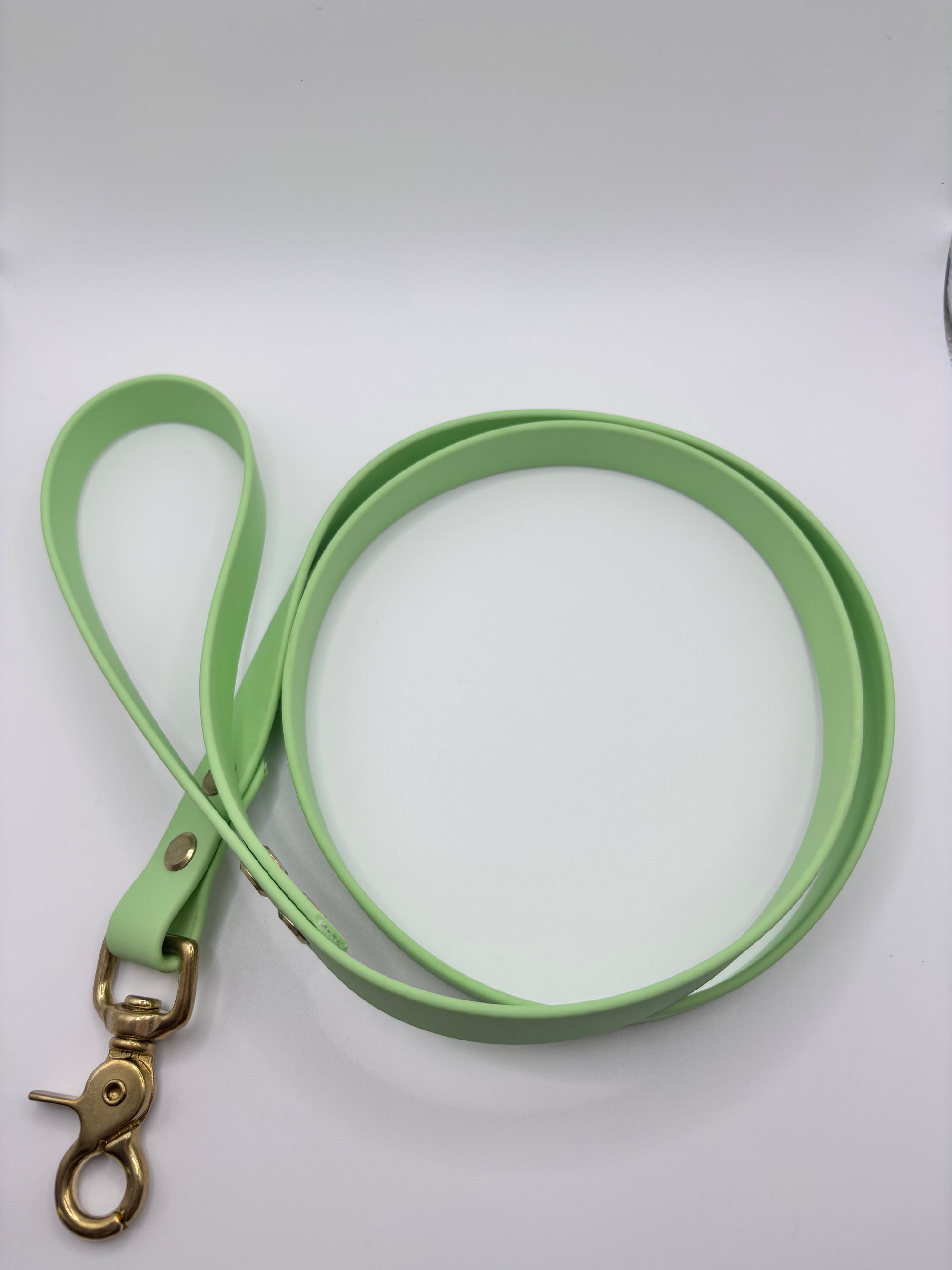 Laisse Chien BIOTHANE® - Green Tea