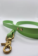 Laisse Chien BIOTHANE® - Green Tea