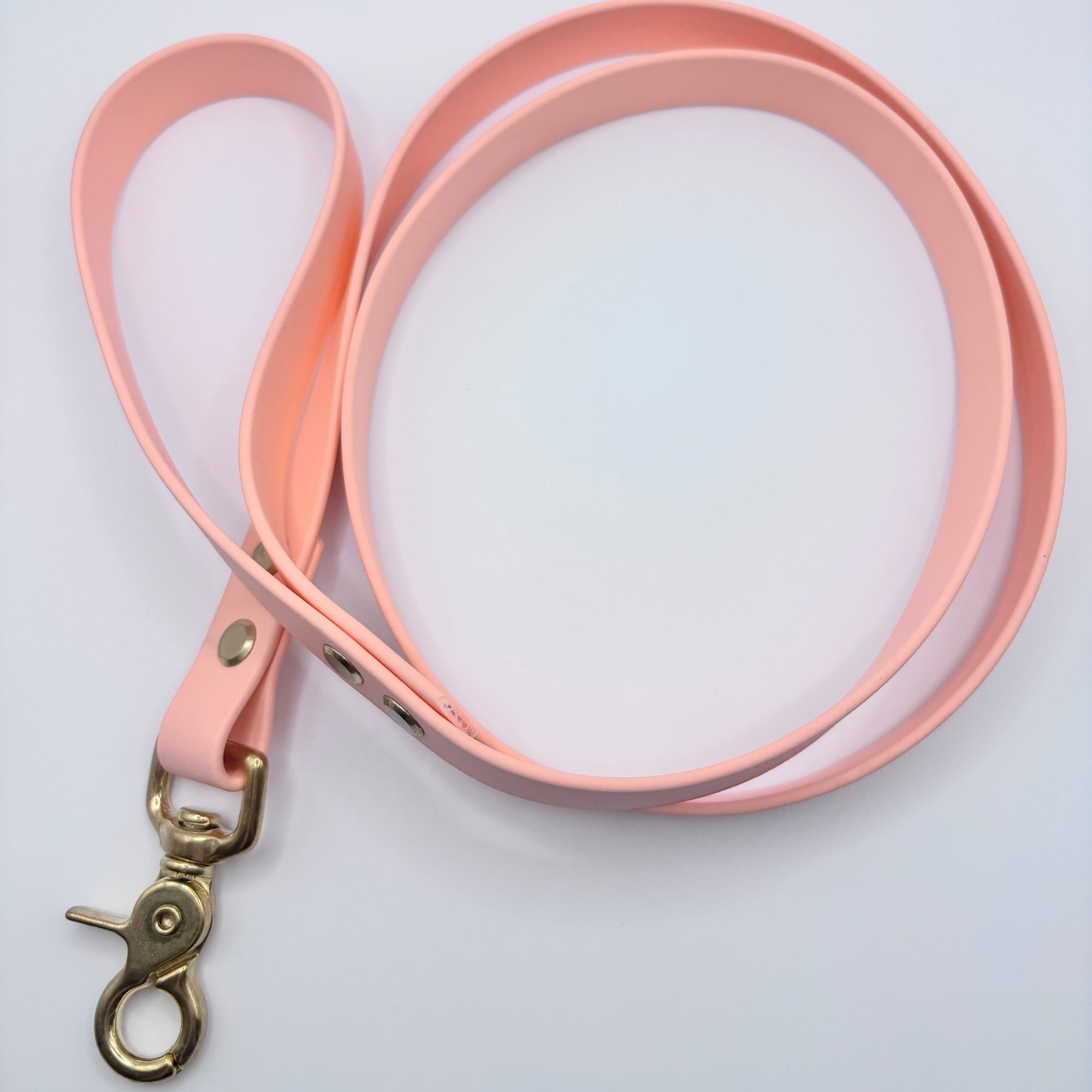 Laisse simple pour chien BIOTHANE® - Peach Pastel