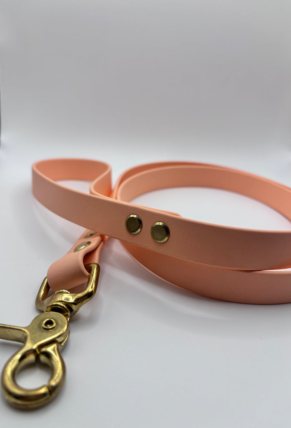 Laisse Chien BIOTHANE® - Peach Pastel