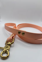 Laisse Chien BIOTHANE® - Peach Pastel