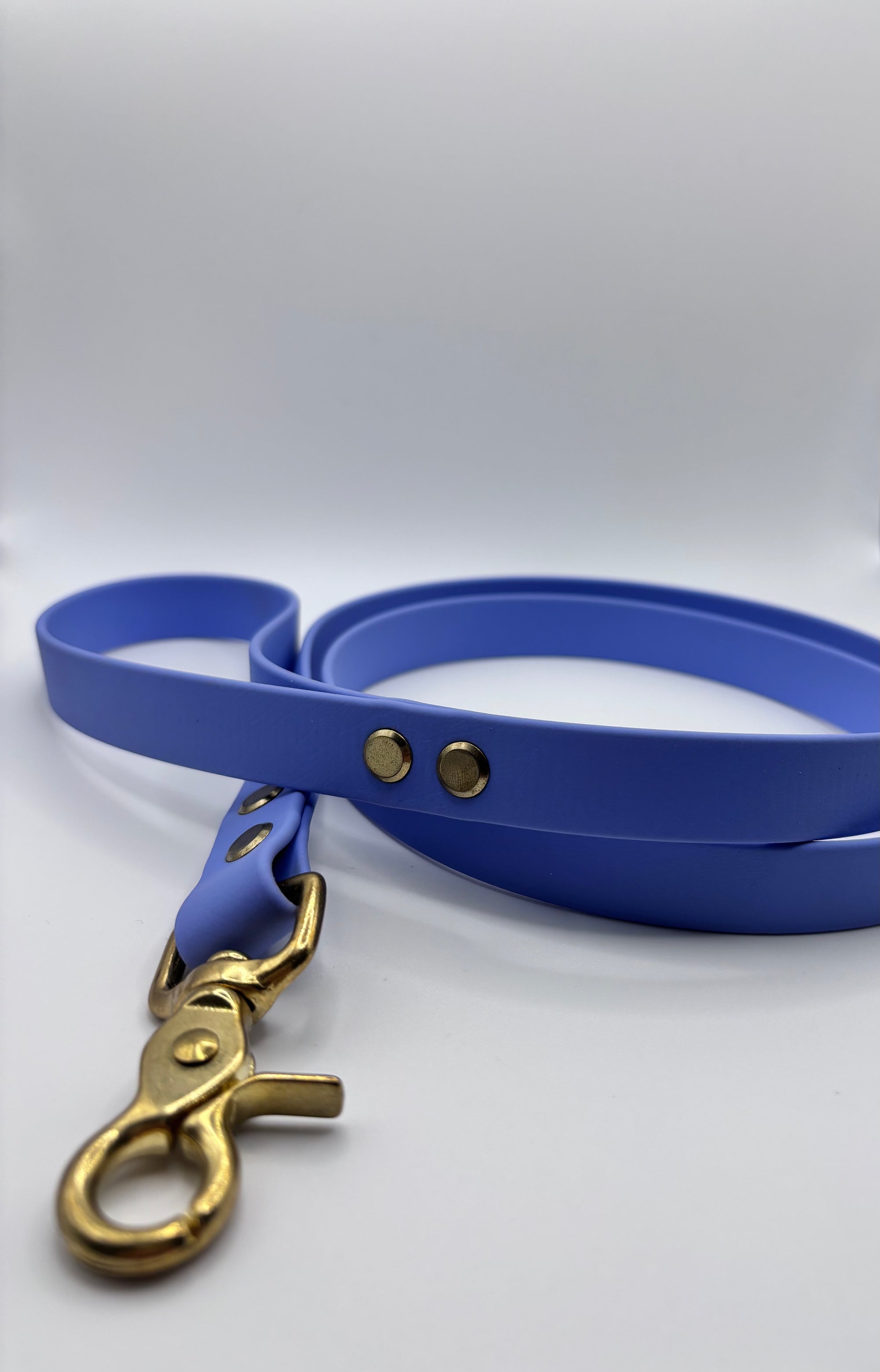 Laisse Chien BIOTHANE® - Blueberry