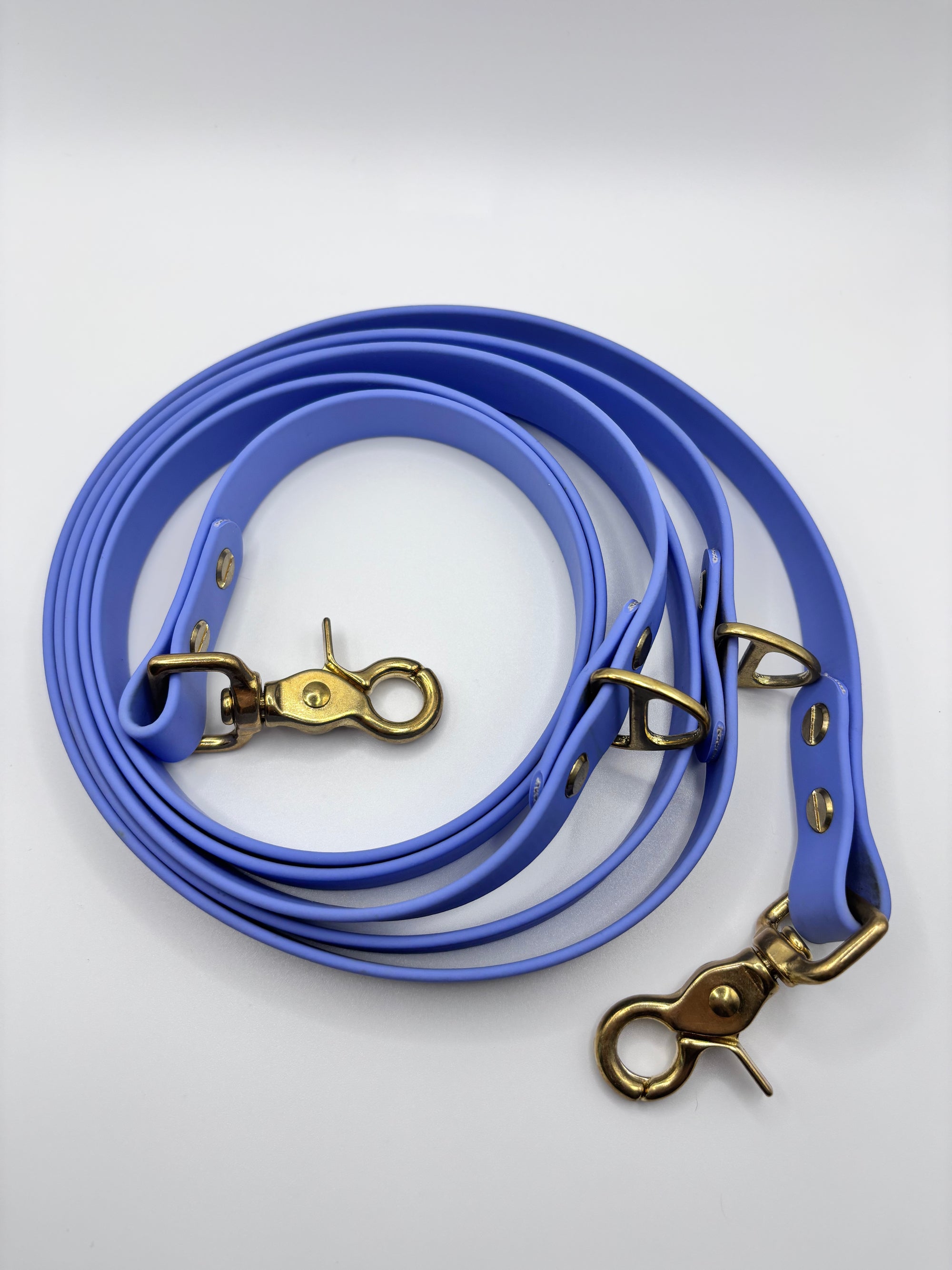 Laisse Multi-Positions BIOTHANE® - Blueberry