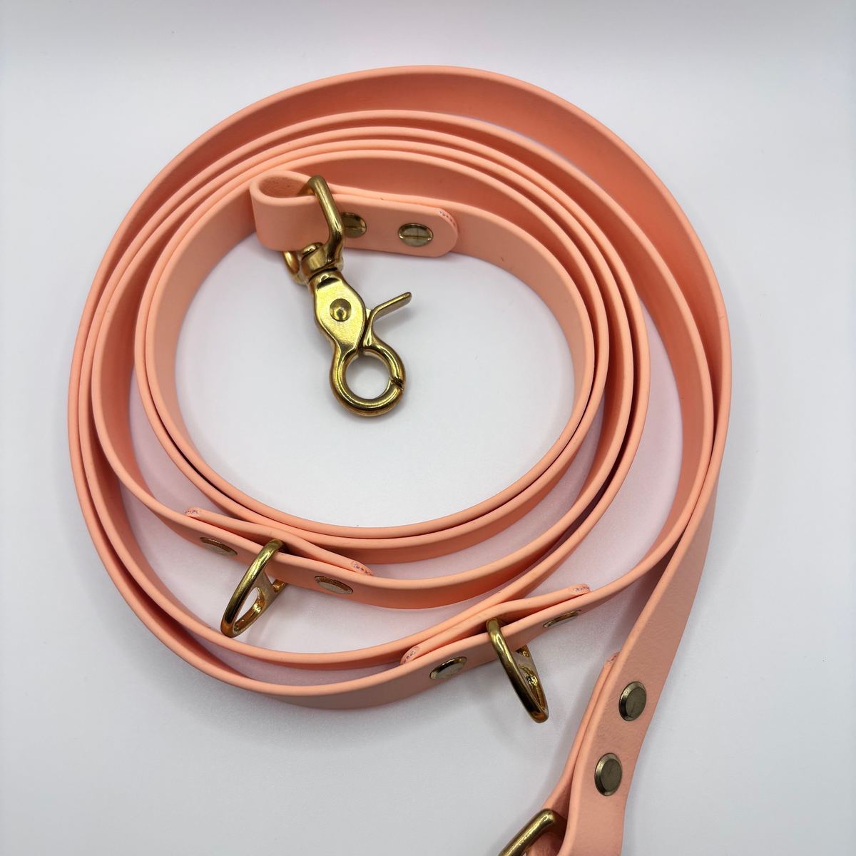 Laisse multi-positions BIOTHANE® - Peach Pastel