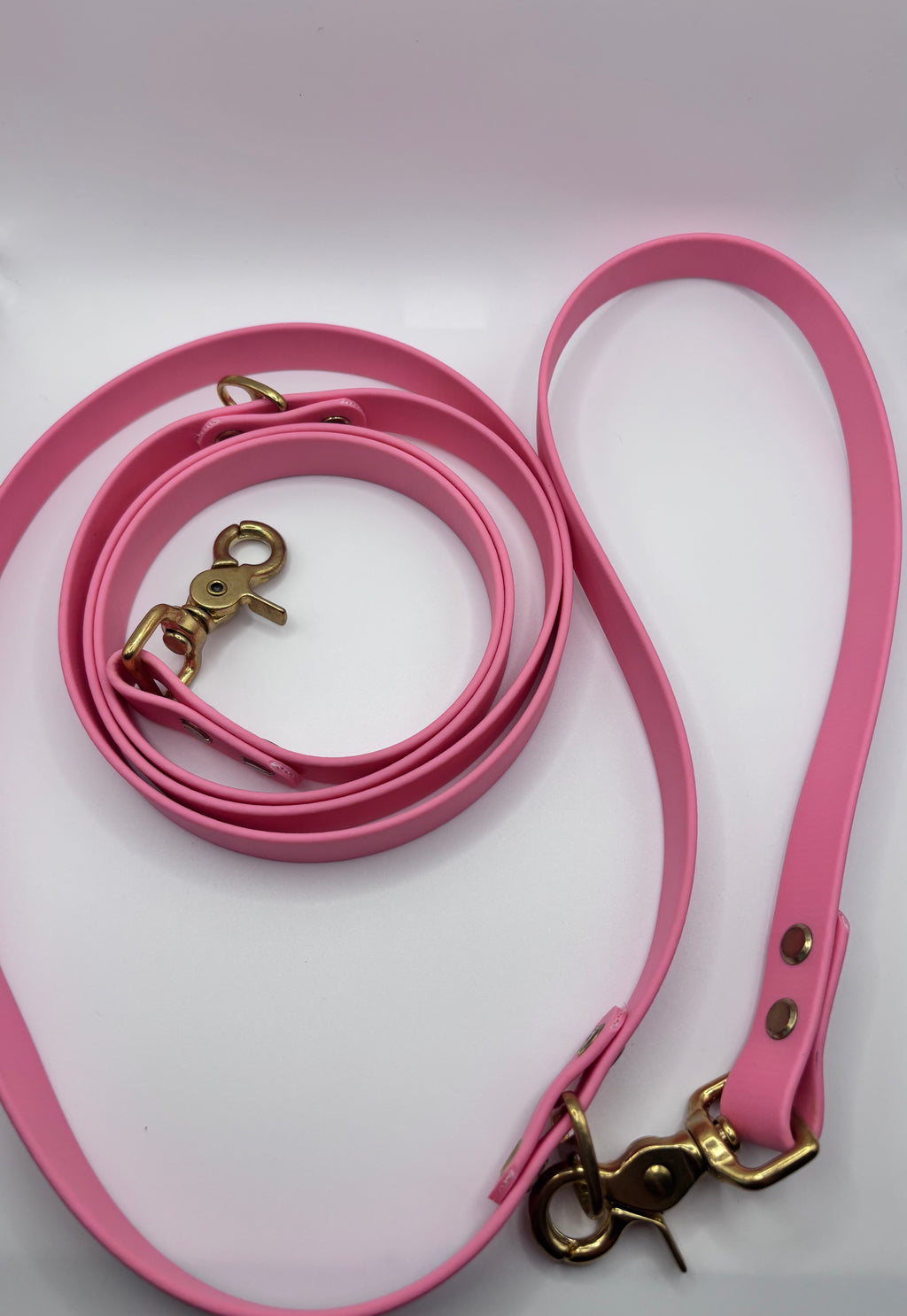 Laisse Multi-Positions BIOTHANE® - Bubblepink