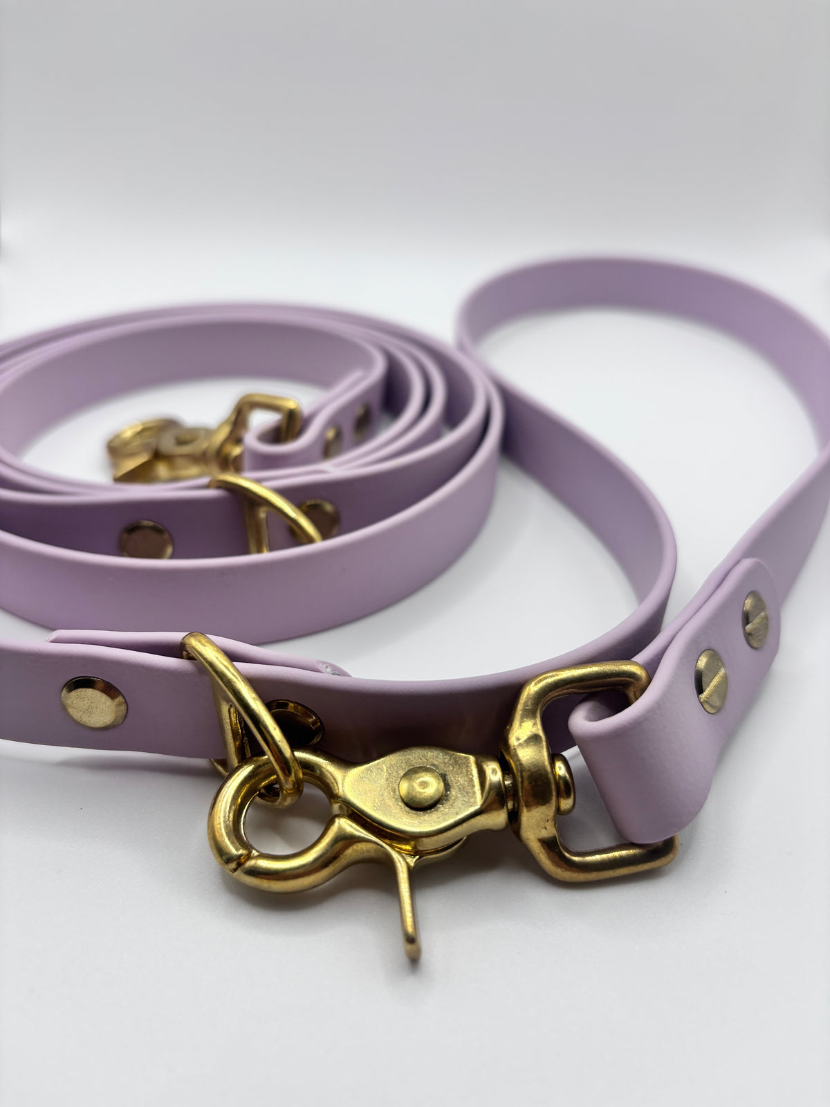 Laisse Multi-Positions BIOTHANE® - Lila