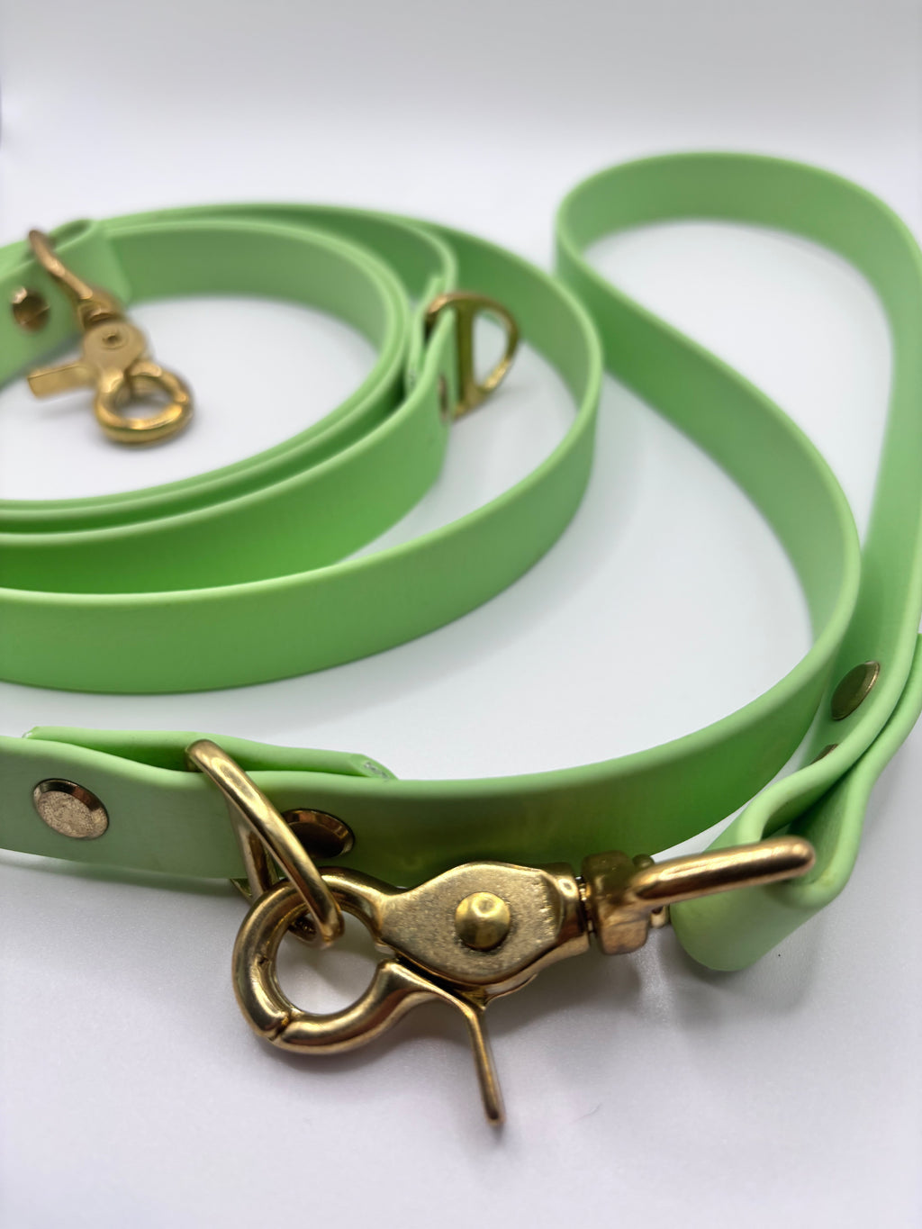 Laisse Multi-Positions BIOTHANE® - Green Tea