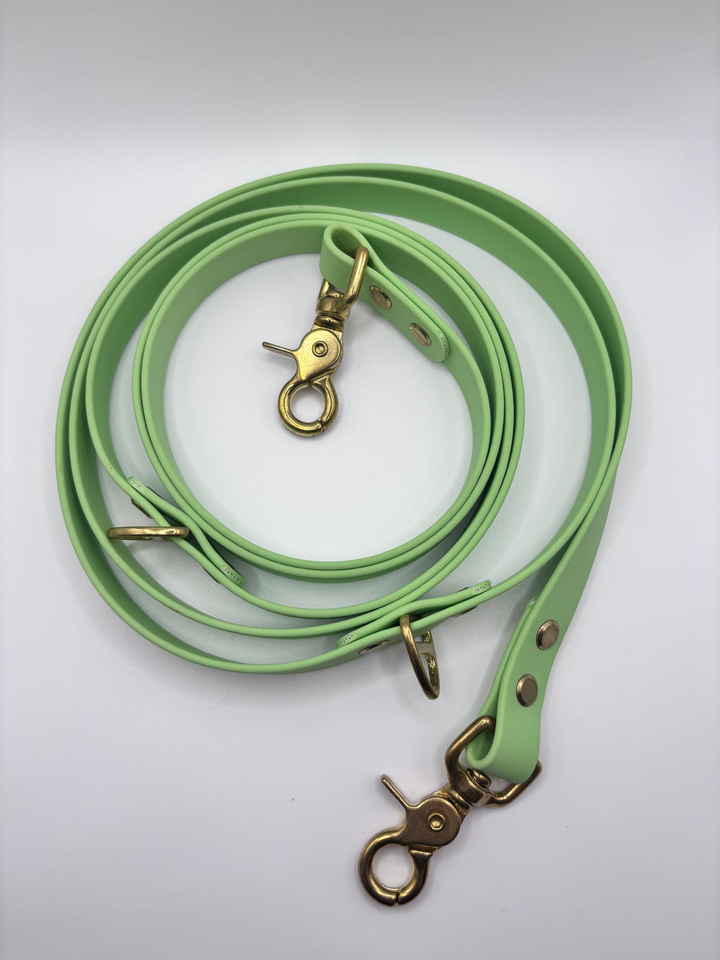 Laisse Multi-Positions BIOTHANE® - Green Tea