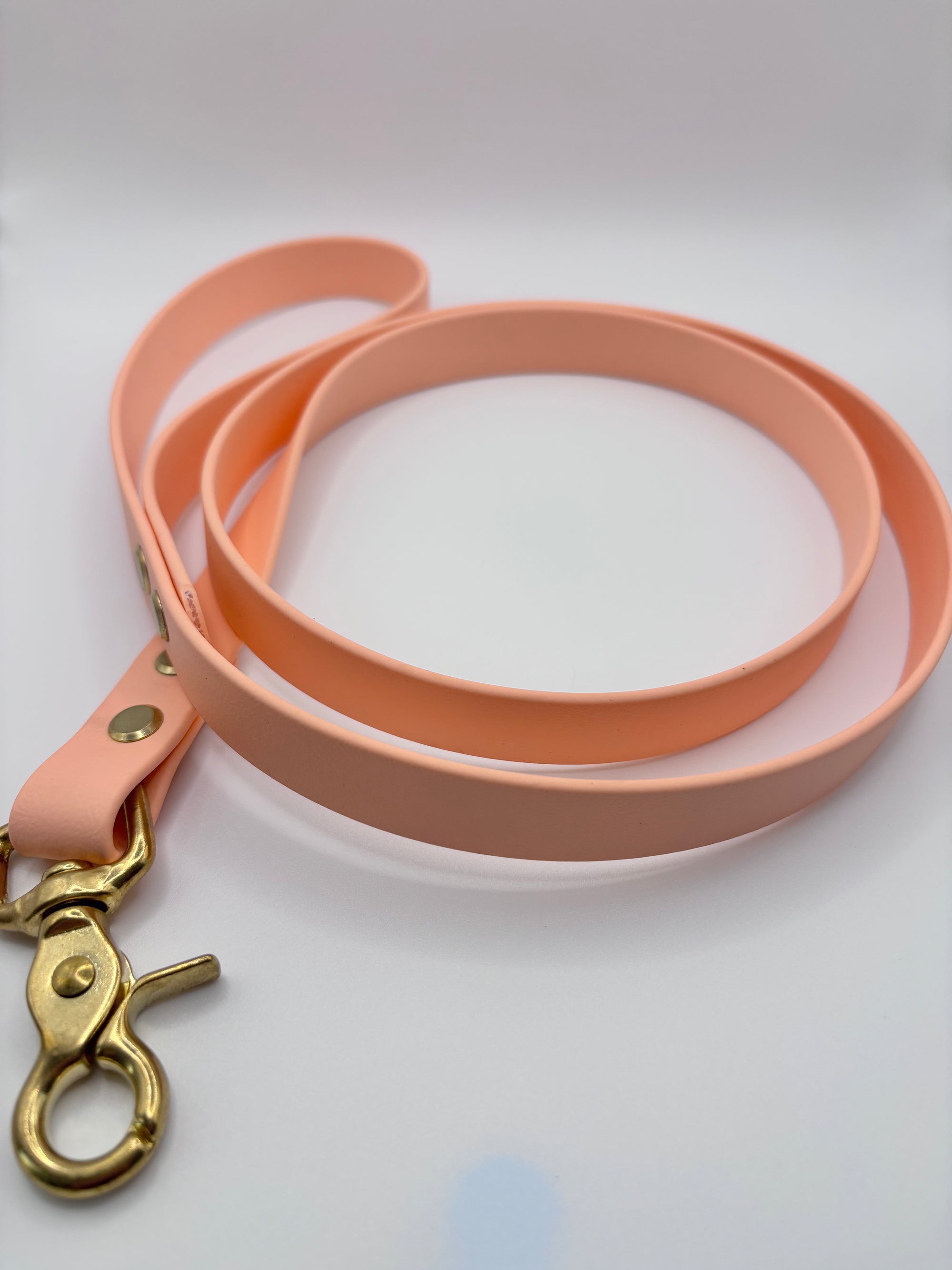Laisse Chien BIOTHANE® - Peach Pastel