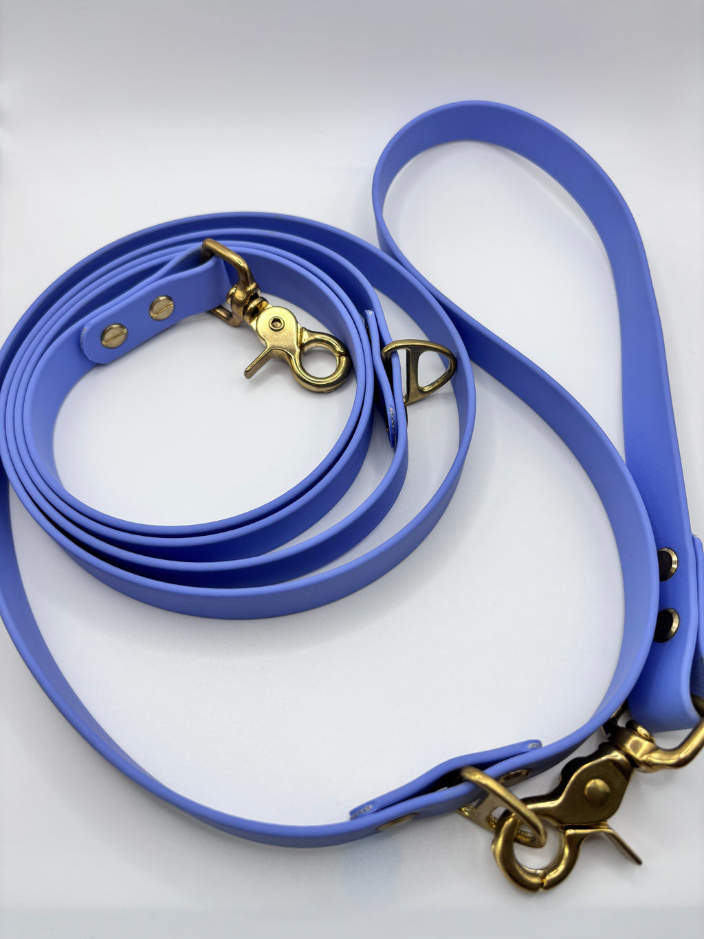 Laisse Multi-Positions BIOTHANE® - Blueberry