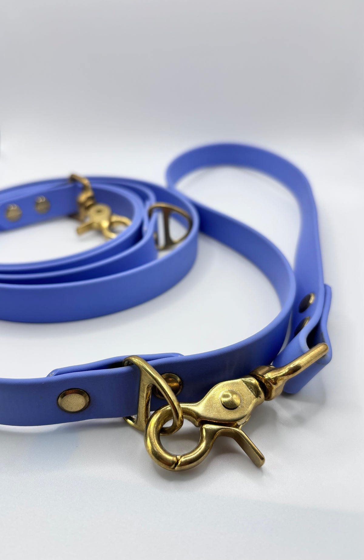 Laisse Multi-Positions BIOTHANE® - Blueberry