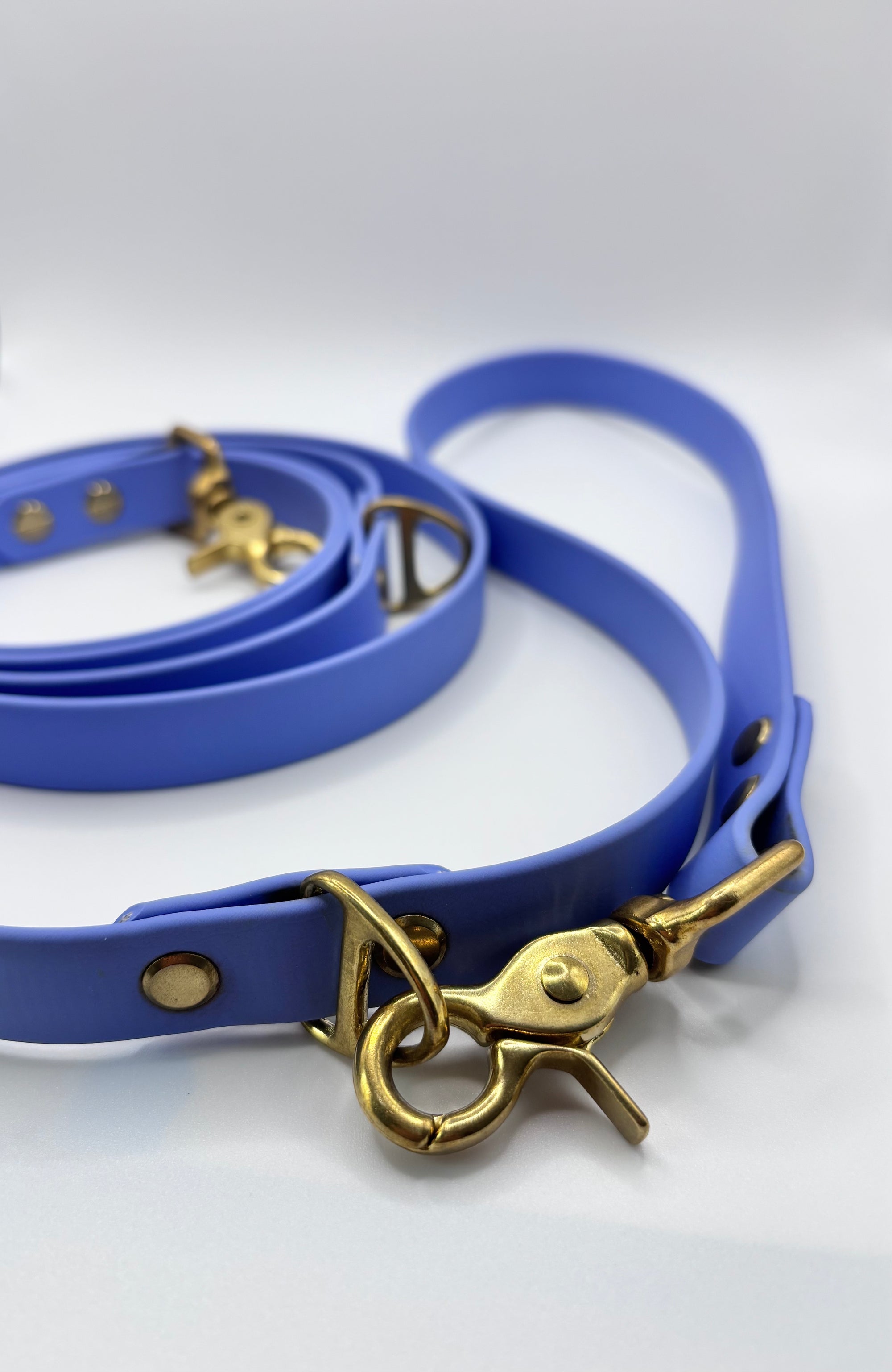 Laisse Multi-Positions BIOTHANE® - Blueberry