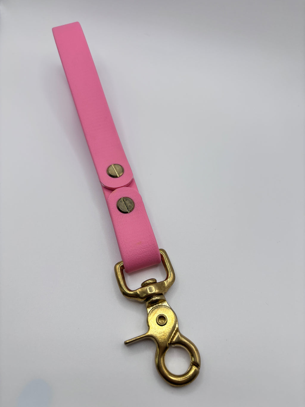 Poignée Chien BIOTHANE® - Bubblepink