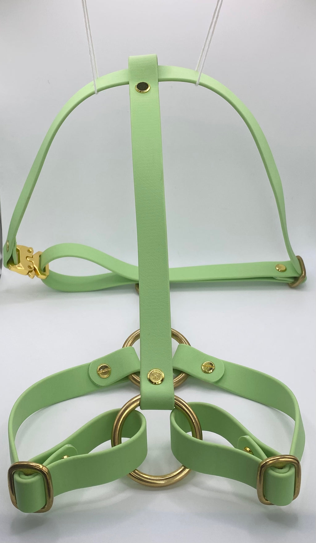 Harnais Chien BIOTHANE® - Green Tea