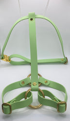 Harnais Chien BIOTHANE® - Green Tea