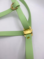 Harnais Chien BIOTHANE® - Green Tea