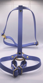 Harnais Chien BIOTHANE® - Blueberry