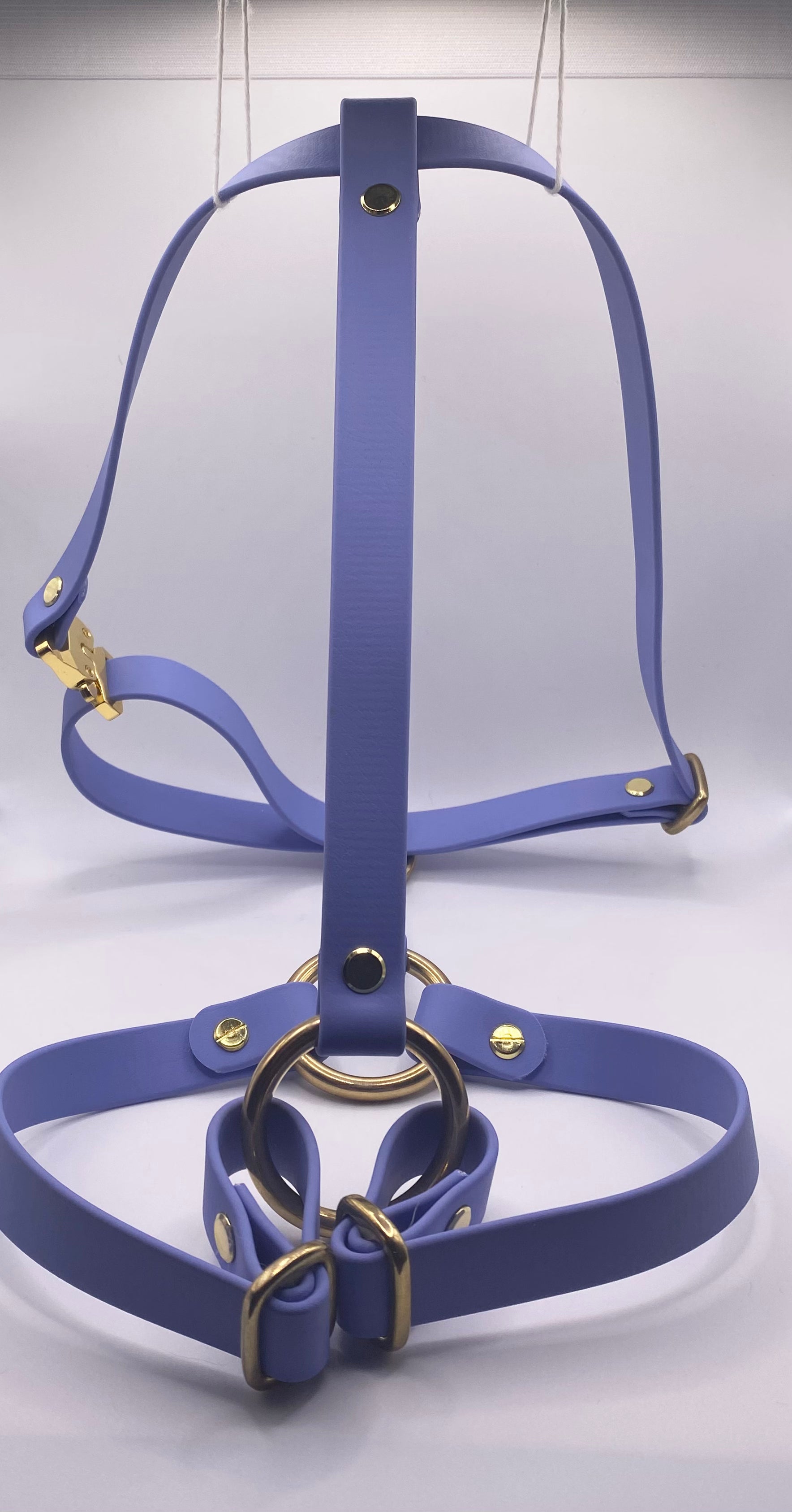 Harnais Chien BIOTHANE® - Blueberry