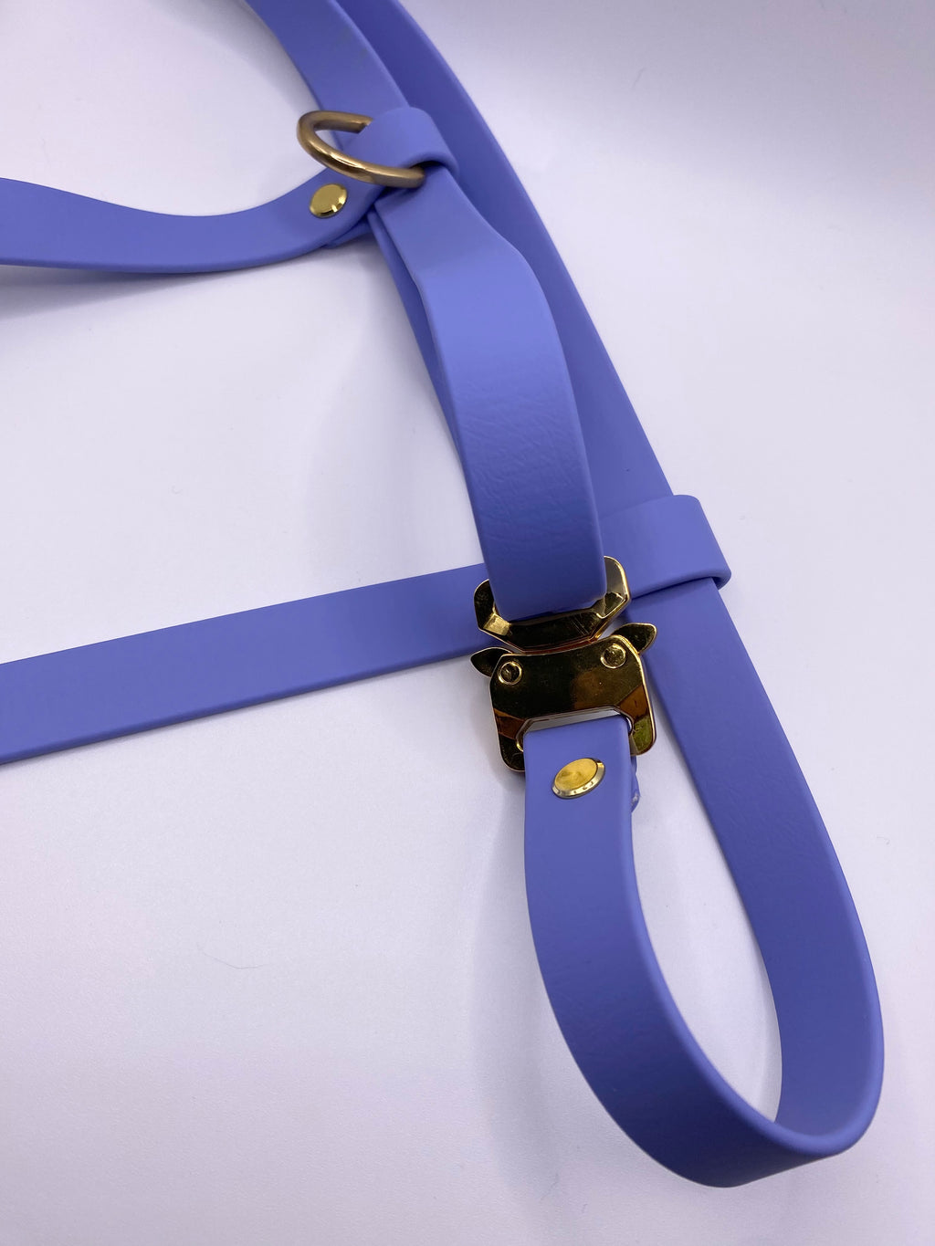 Harnais Chien BIOTHANE® - Blueberry