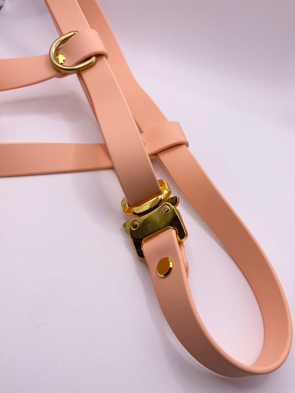 Harnais Chien BIOTHANE® - Peach Pastel