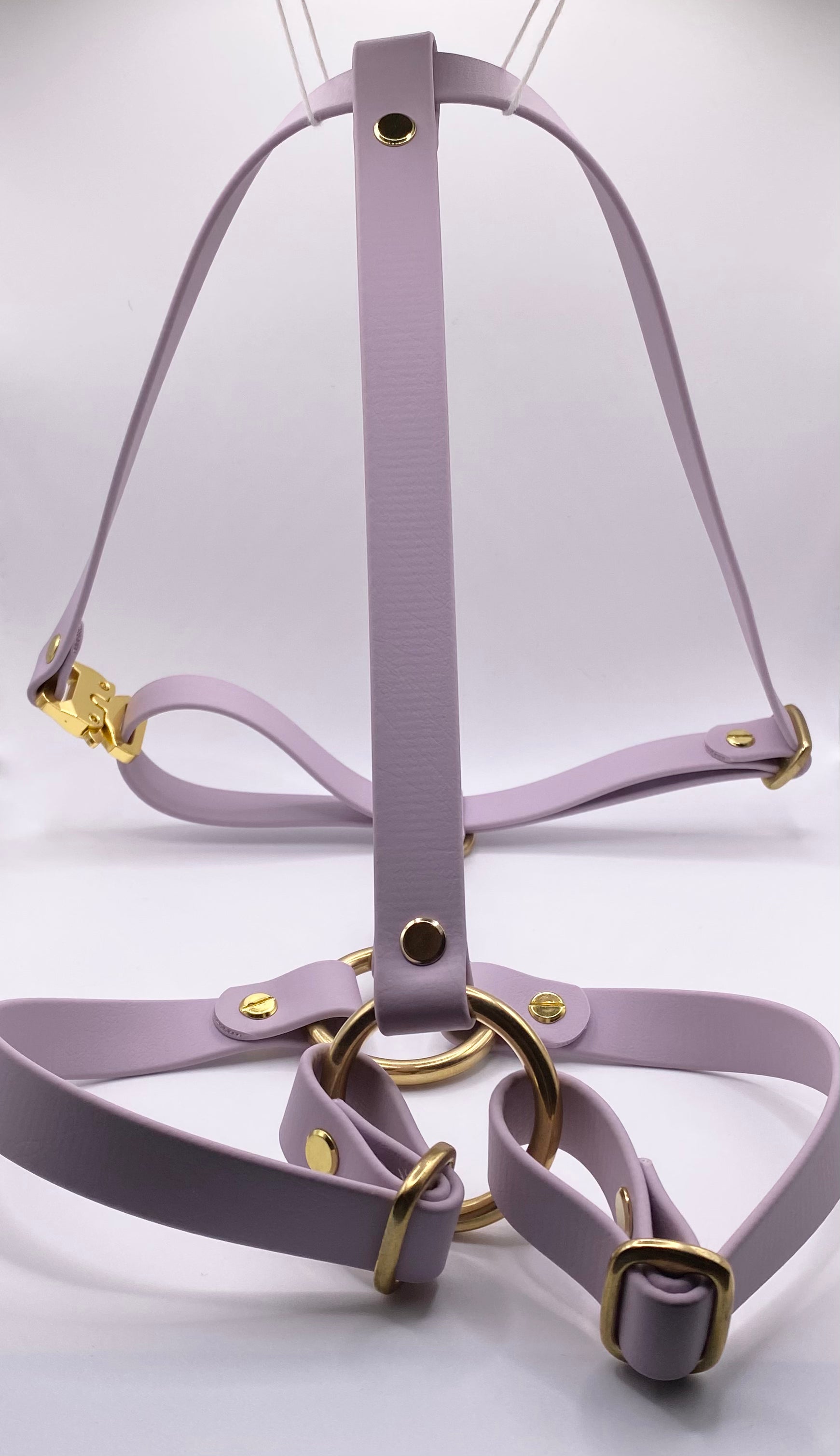 Harnais Chien BIOTHANE® - Lila