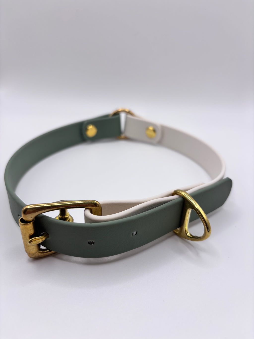 Collier Chien Bicolore BIOTHANE® - Matcha