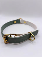 Collier Chien Bicolore BIOTHANE® - Matcha
