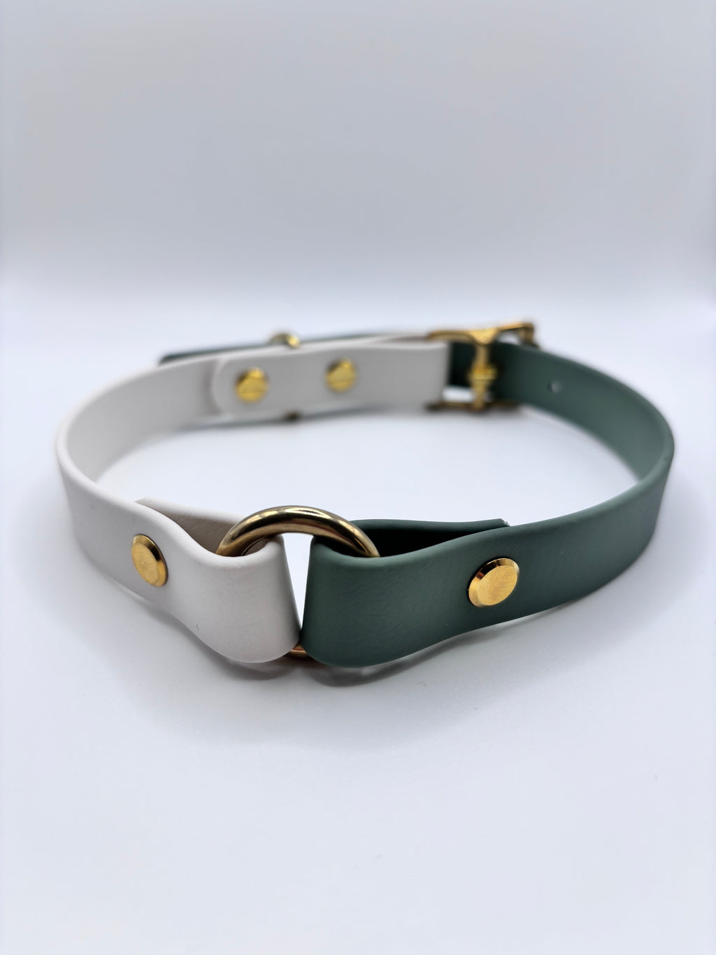 Collier Chien Bicolore BIOTHANE® - Matcha