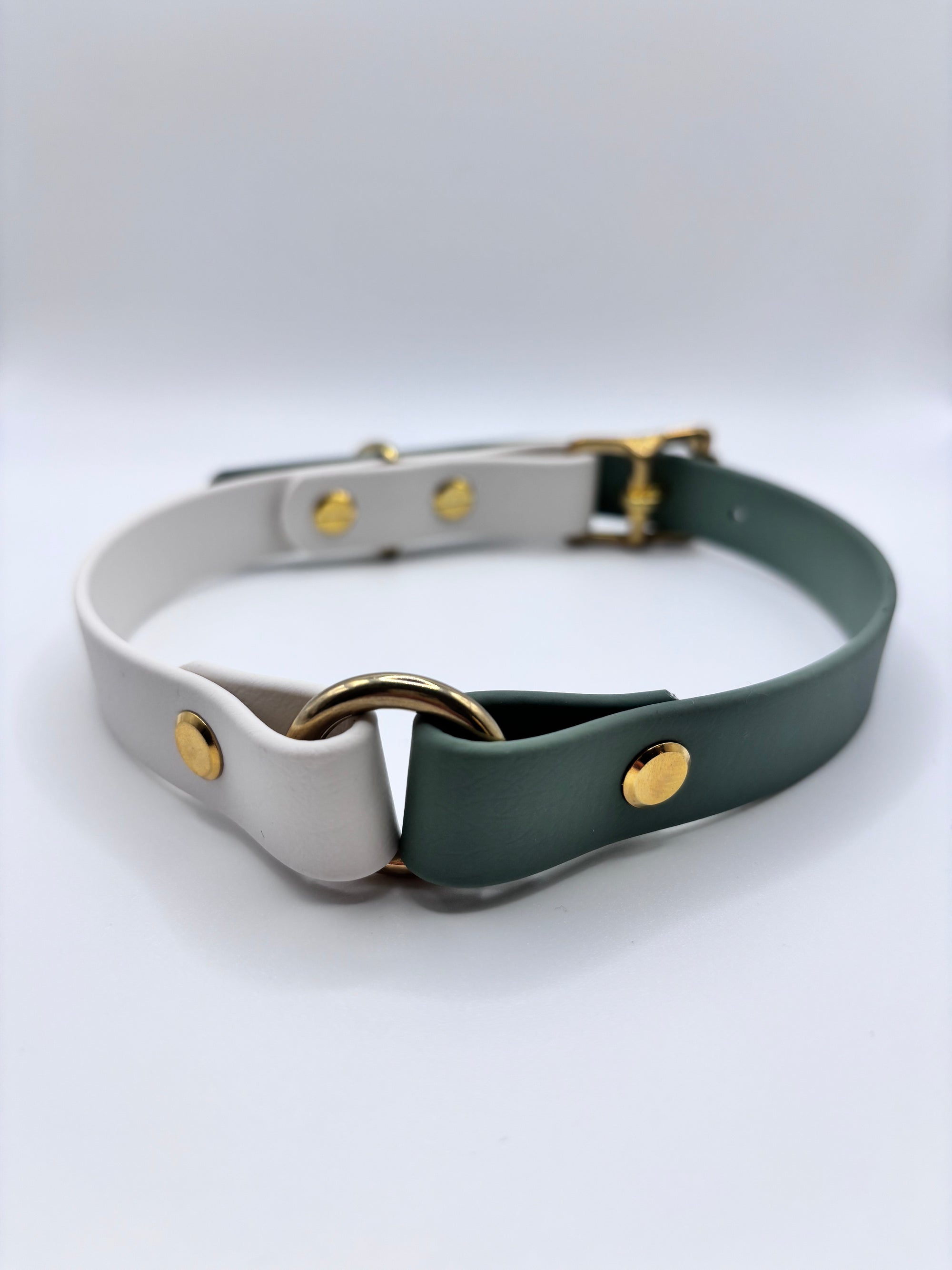 Collier Chien Bicolore BIOTHANE® - Matcha