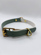 Collier pour chien Bicolore BIOTHANE® - Matcha