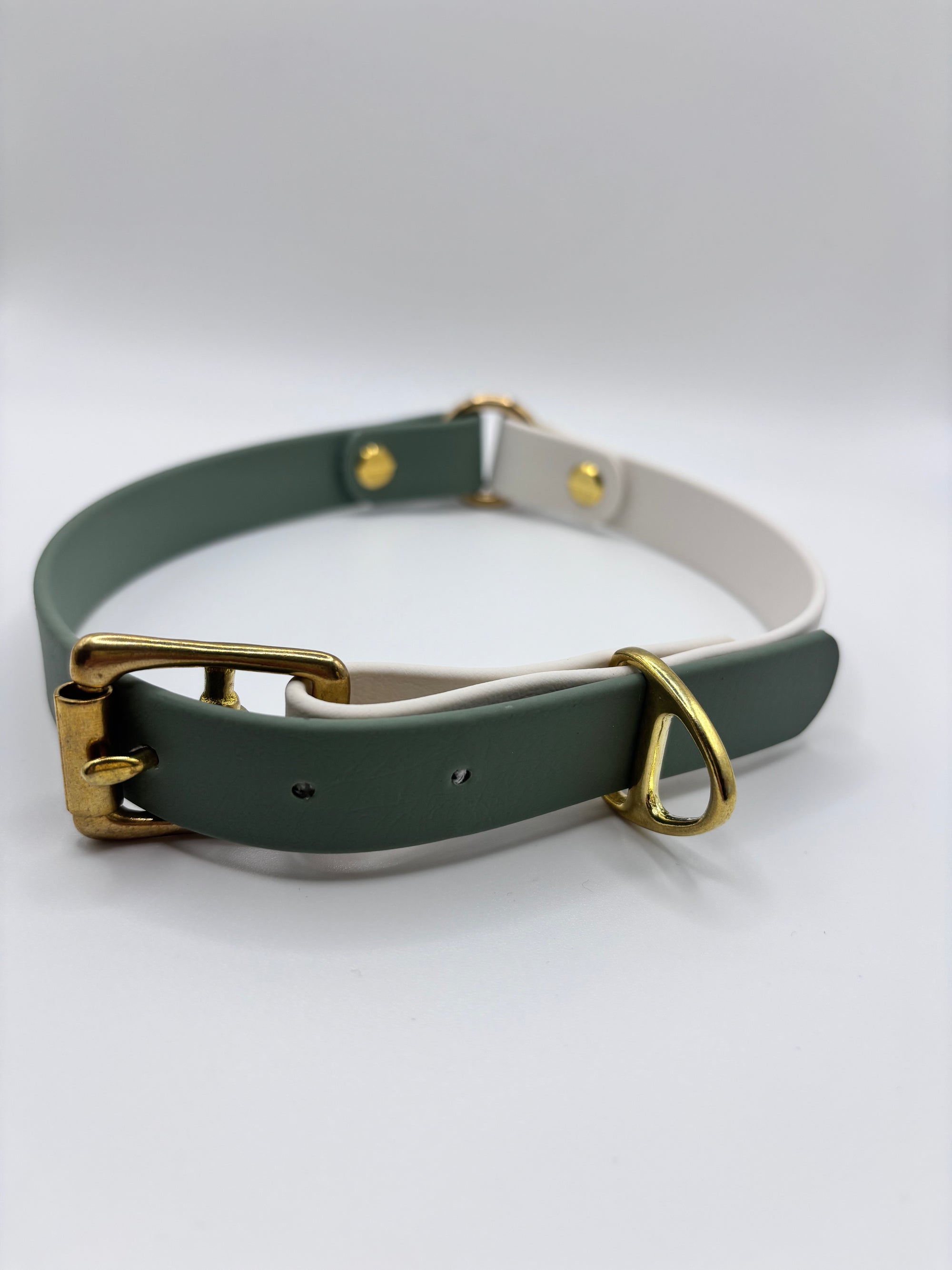 Collier pour chien Bicolore BIOTHANE® - Matcha