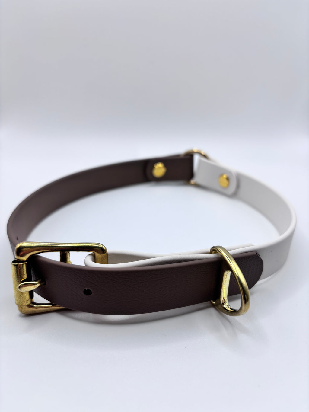 Collier Chien Bicolore BIOTHANE® - Mocha