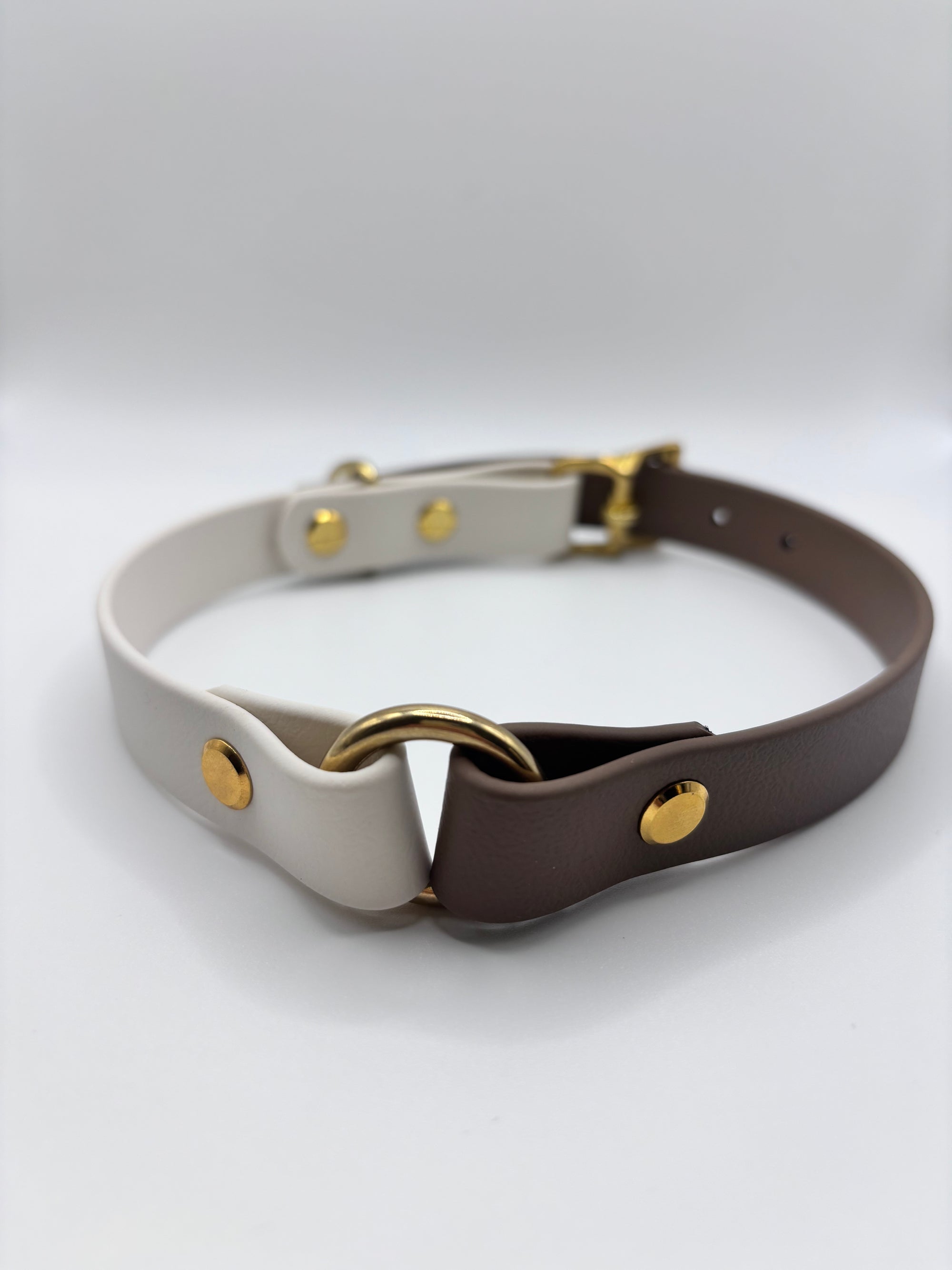 Collier Chien Bicolore BIOTHANE® - Mocha