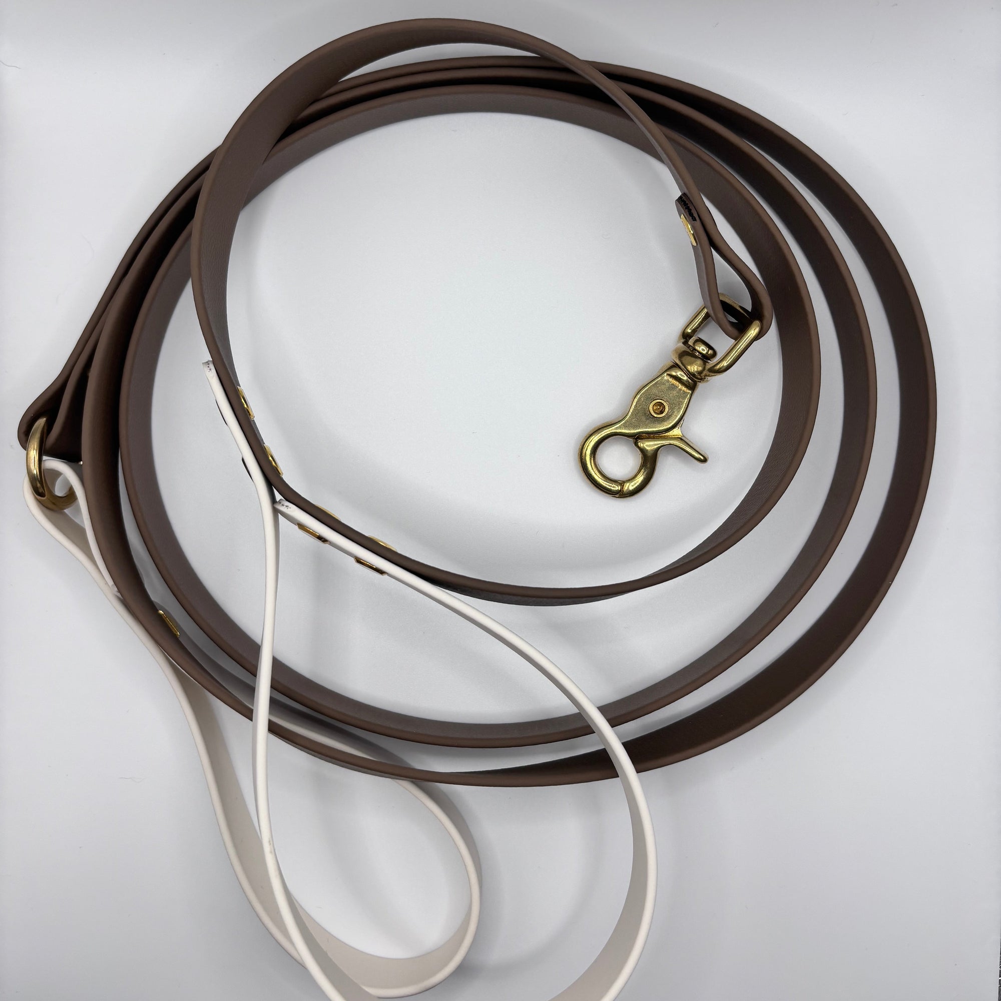 Laisse longue pour chien Bicolore BIOTHANE® - Mocha