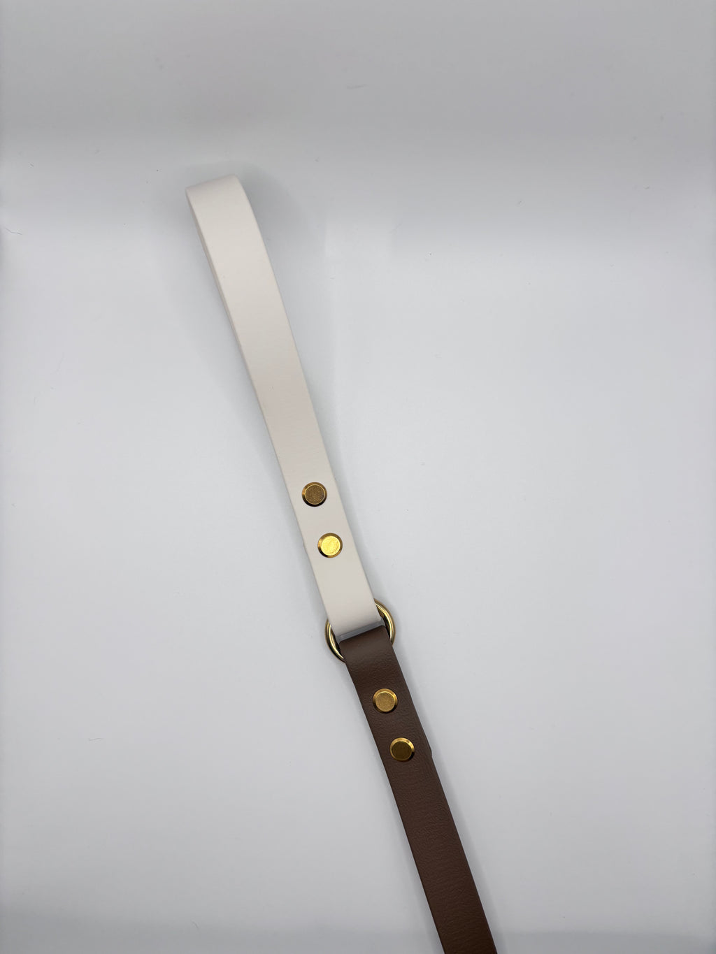 Laisse Longue Chien Bicolore BIOTHANE® - Mocha