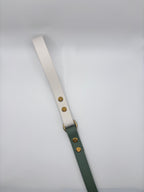 Laisse Longue Chien Bicolore BIOTHANE® - Matcha