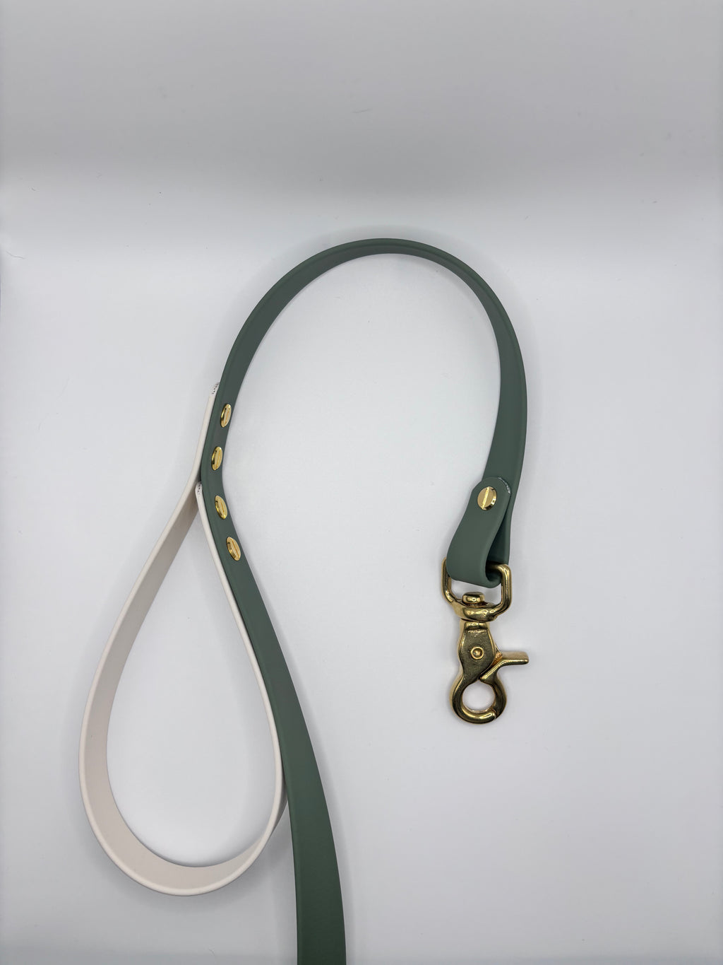 Laisse Longue Chien Bicolore BIOTHANE® - Matcha