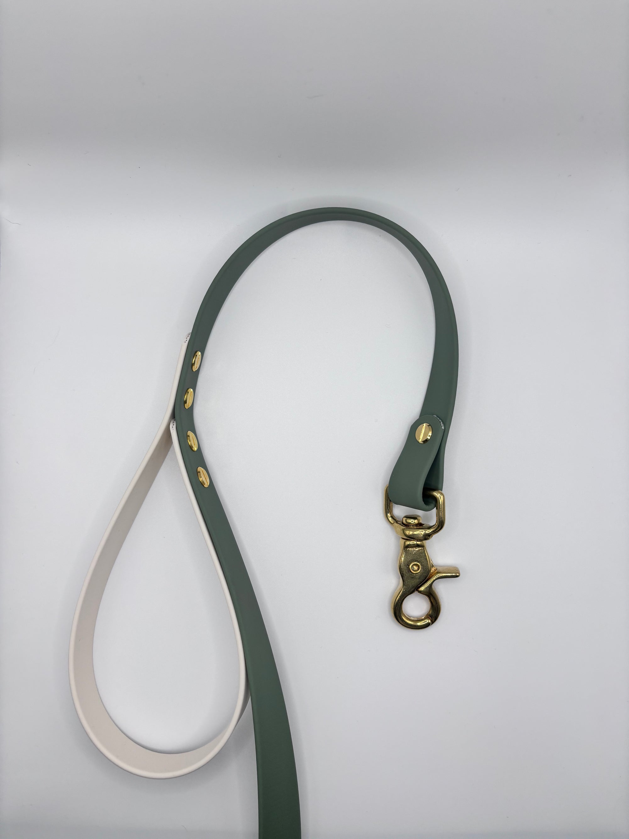 Laisse Longue Chien Bicolore BIOTHANE® - Matcha