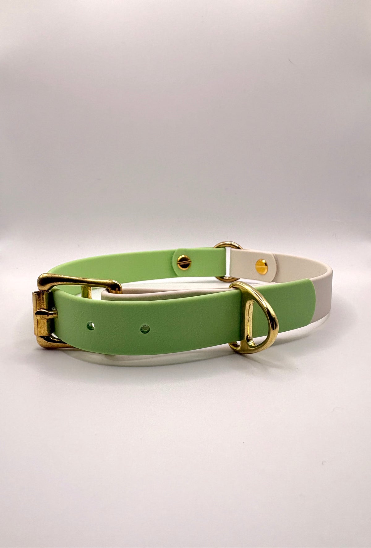 Collier pour chien Bicolore BIOTHANE® - Green Tea