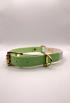 Collier pour chien Bicolore BIOTHANE® - Green Tea