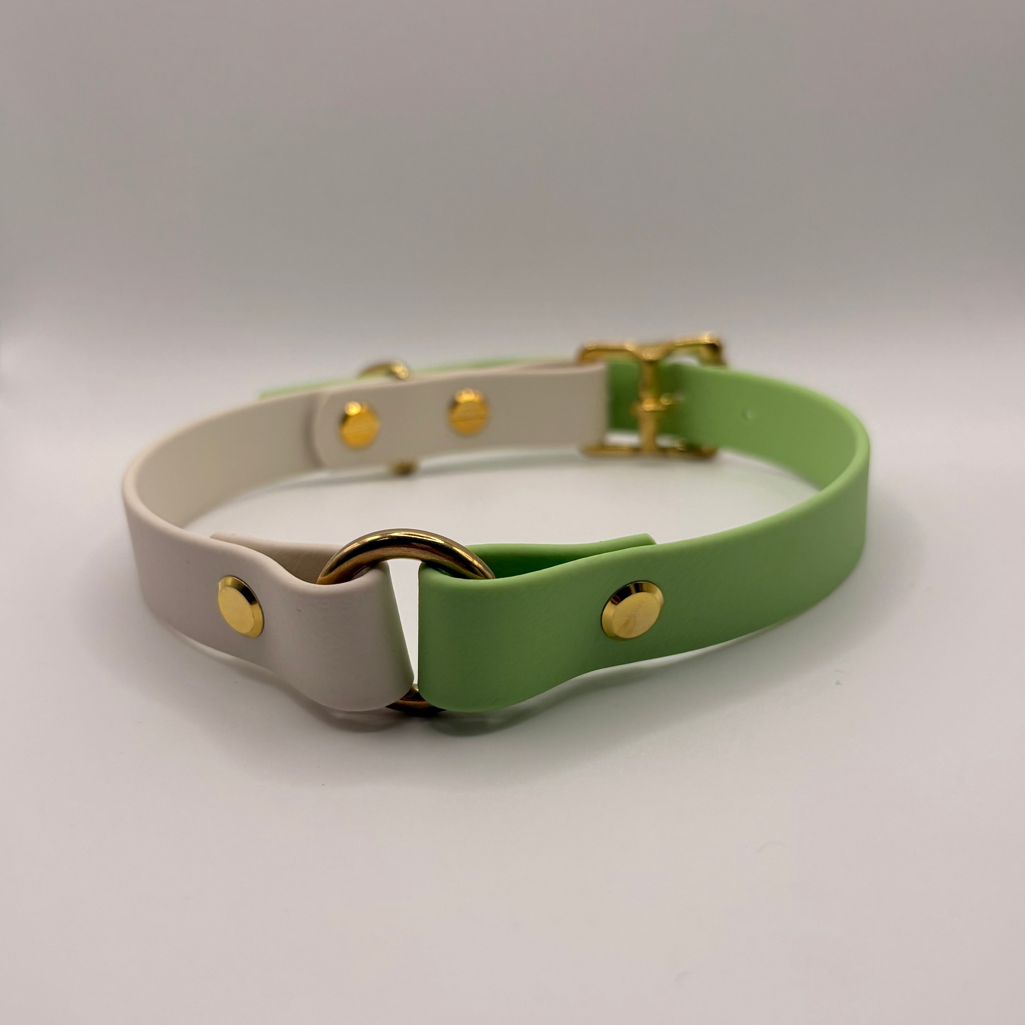 Collier pour chien Bicolore BIOTHANE® - Green Tea