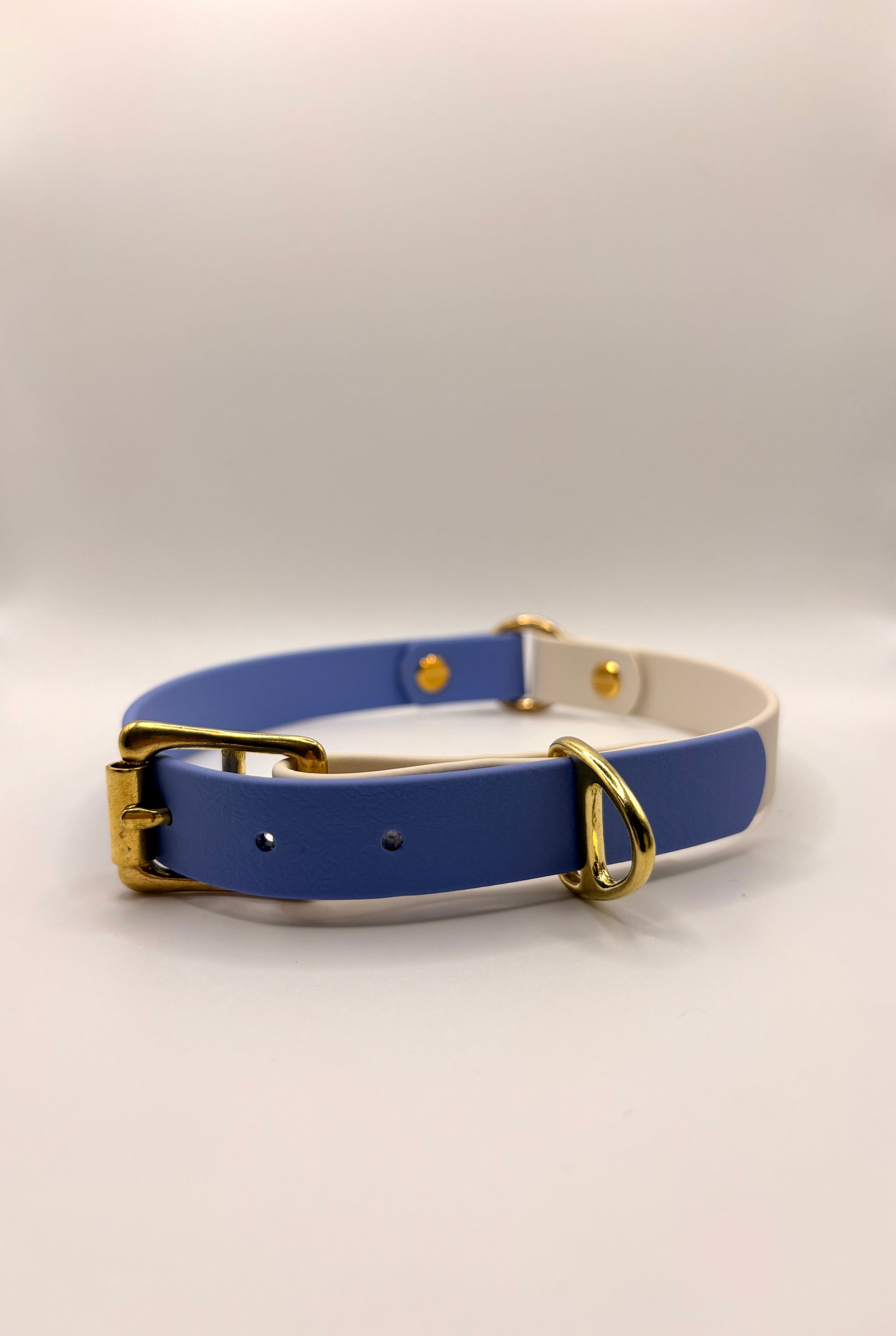Collier pour chien Bicolore BIOTHANE® - Blueberry